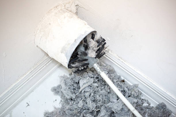 Best Air Duct Cleaning Company Near Me  in Bellingham, WA